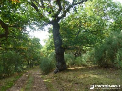 Montaña palentina;rutas de senderismo en la sierra de madrid club de ocio y amistad